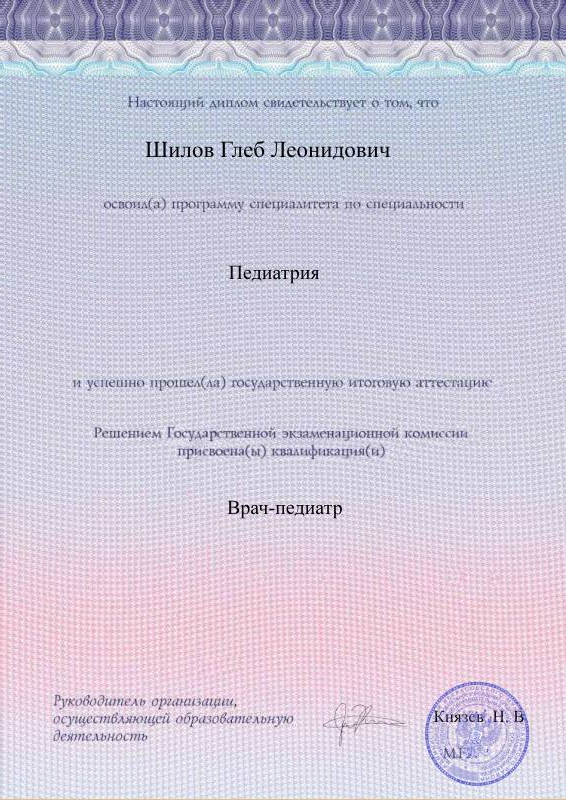 Диплом специалиста Шилова Глеба оборотная сторона